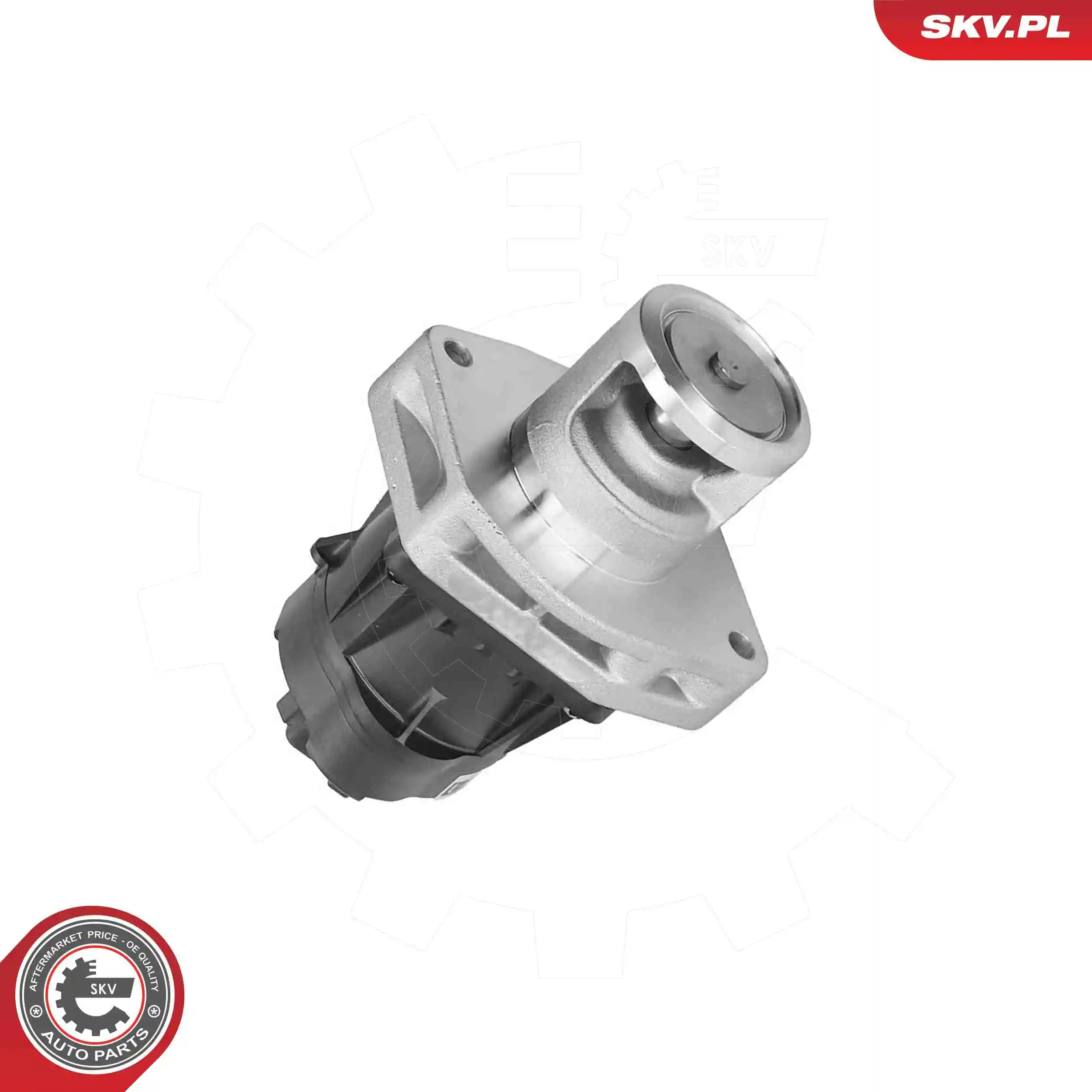 EGR Valve